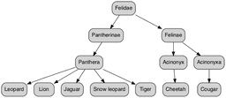 Recursive CTEs in SQL Server